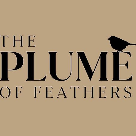 The Plume Of Feathers Farnham  Extérieur photo